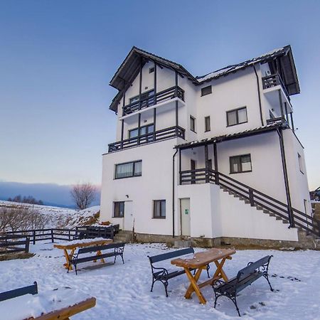 Vila Luca-Hotel Şirnea Eksteriør billede